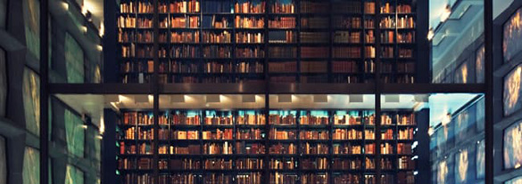 堀内カラー【ビジュアルに価値ある提案を】