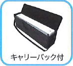 堀内カラーLEDライトボックス_キャリーバッグ