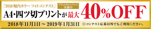 プリントキャンペーン実施中