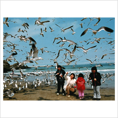 銅賞 「 浜辺の親子 」 下斗米 光円