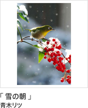 「 雪の朝 」 青木リツ