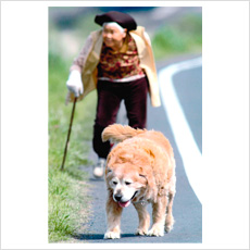 銅賞ノンジャンル 「 絆 」 高橋 洋