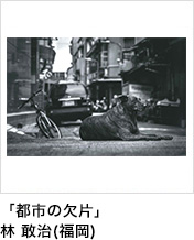 「都市の欠片」林 敢治(福岡)