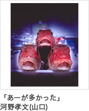 「あーが多かった」河野孝文(山口)