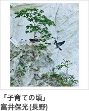 「子育ての頃」富井保光(長野)