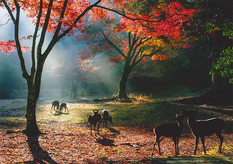 「晩秋霧景」中義隆