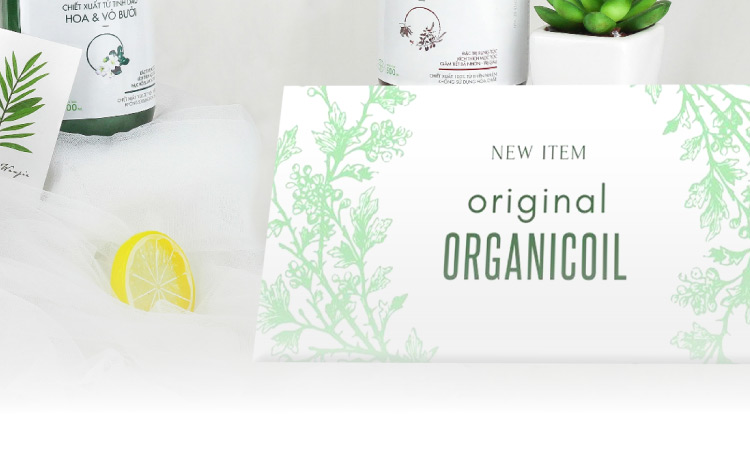 店頭POP | 堀内カラー