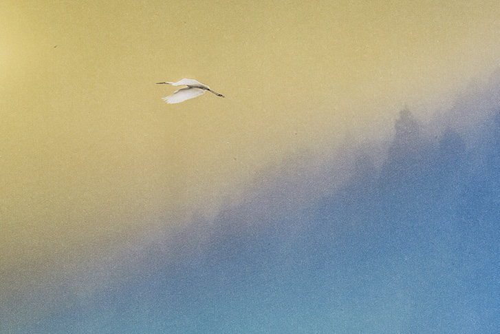 新品未使用　エリック アベル　ファインアート ウッドプリント el:ment 徳島・阿波藍を日常で愛（いと）おしむ 藍シェルの22